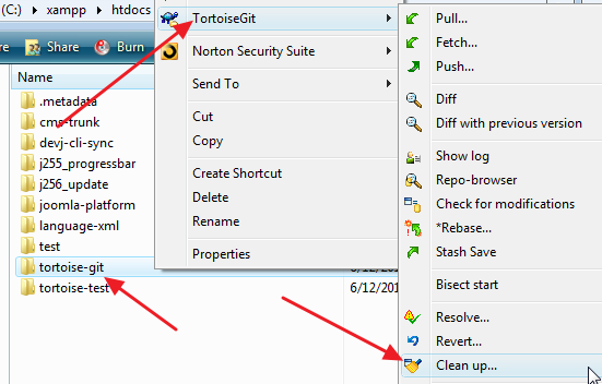 Tortoisegit-tutorial-screenshot-20120612-23.png