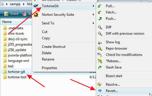 Tortoisegit-tutorial-screenshot-20120612-21.png