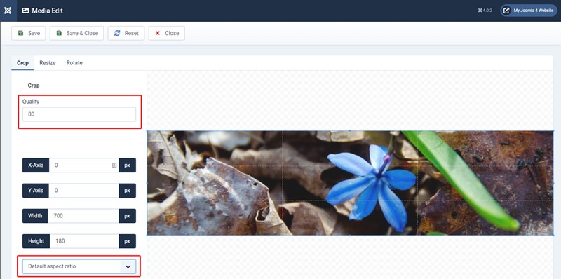 File:J4x media manager crop image-en.png