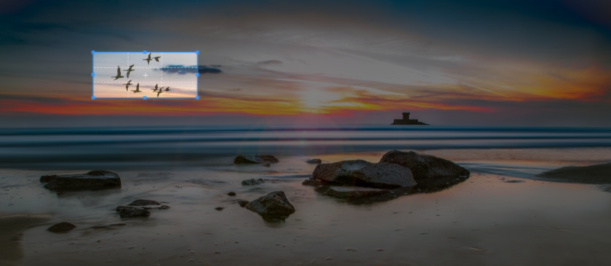 Original image with focus area