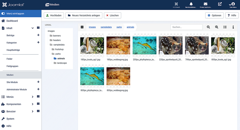 File:Help-4x-Content-Media-Manager-screen-de.png