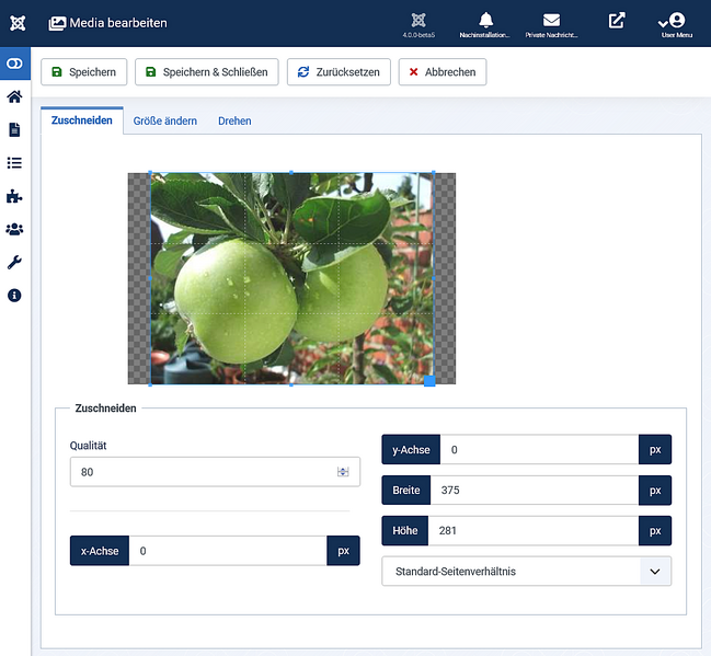 File:Help-4x-Content-Media-Manager-Edit-screen-de.png