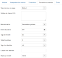 Help-3x-modules-site-module-manager-module-custom-html-advanced-fr.png