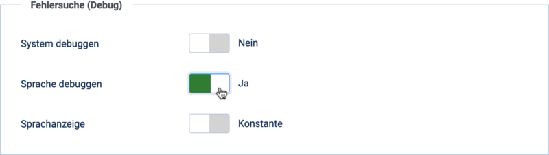 Bildschirmfoto: Fehlersuche (Debug)